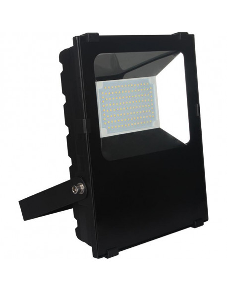 QUARTZ LED 100W